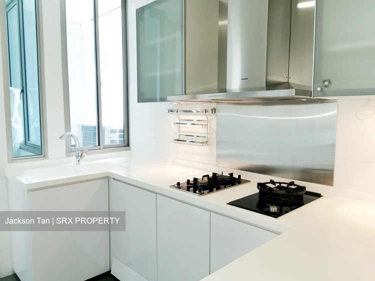 Cairnhill Crest (D9), Condominium #236827031